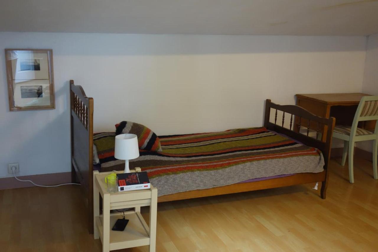 Bel Appartement Au Coeur Du Puy En Velay Le Puy-en-Velay Dış mekan fotoğraf
